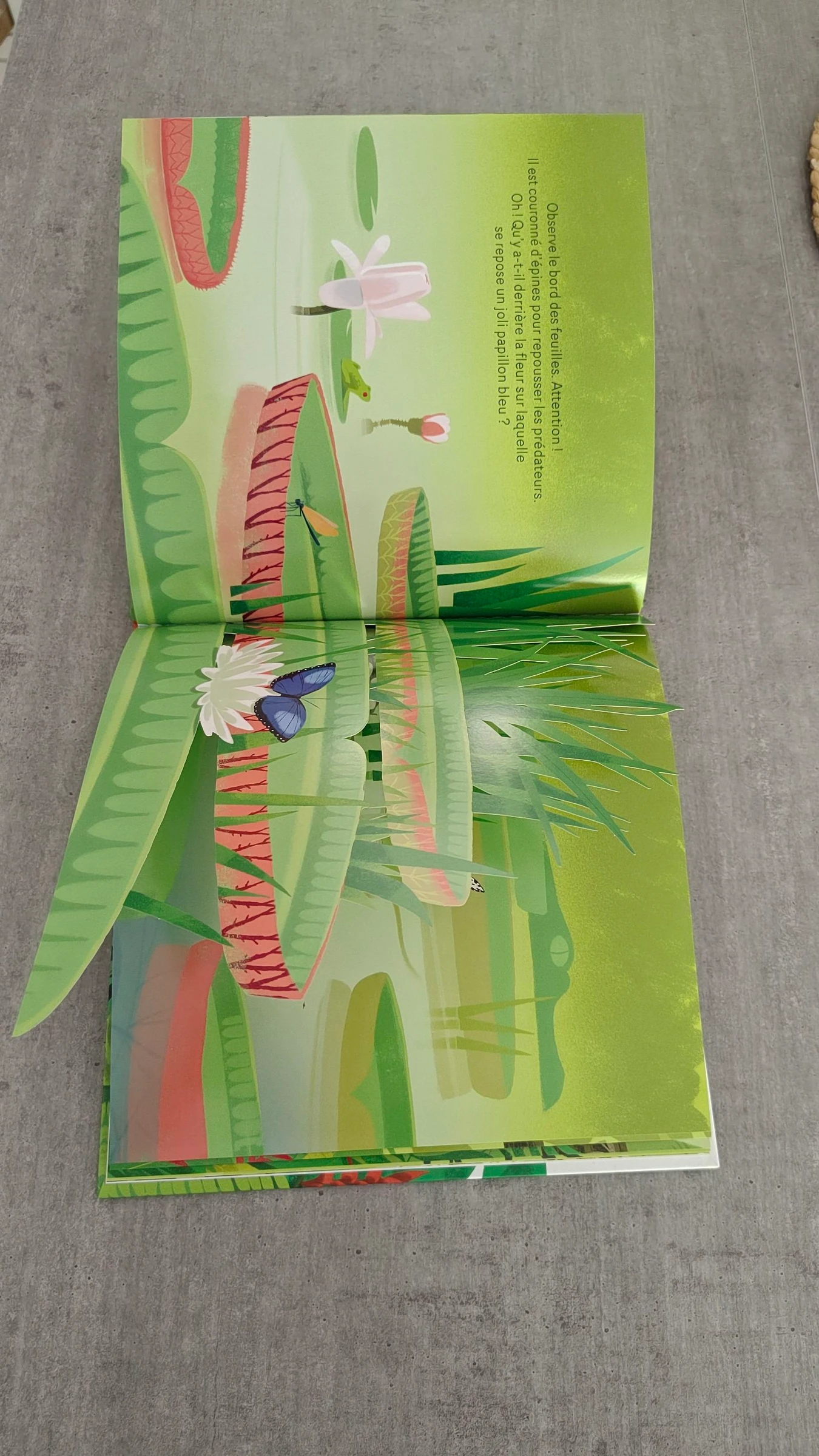 Libro "Escondido en la selva tropical" - Álbum para niños – photo 7